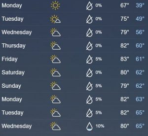 Tampa Temps Tampa Temps