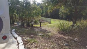 WalmartScenicParking WalmartScenicParking