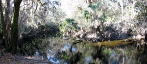 Alafia River Take-Out