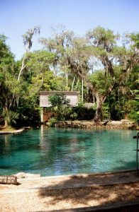 Juniper Springs-1969 Juniper Springs-1969