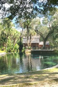 Juniper Springs-2017 Juniper Springs-2017
