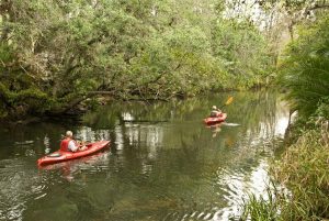 Koreshan Estero Paddling Koreshan Estero Paddling
