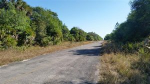 Paved Road - 5 miles