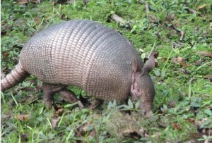 Three Days in the wilderness and now back to class A campground