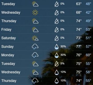 TampaForecast 1-30 - 2-8