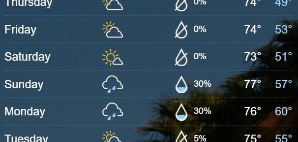 Enjoying the weather here on Tampa Bay