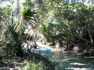 Juniper Springs River Trail Juniper Springs River Trail
