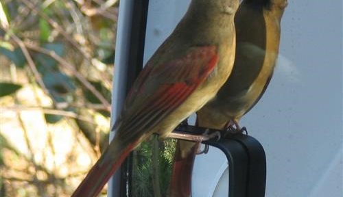 Ready to head North to Aiken, SC