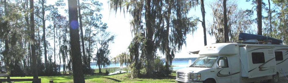 Back Again at Ocean Pond