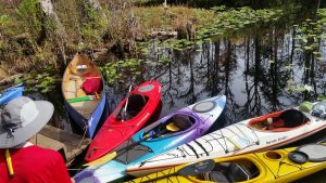 MinnieLandingGroup MinnieLandingGroup