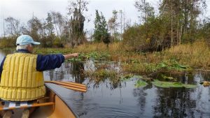 Peggy-Pointingout Alligator Peggy-Pointingout Alligator