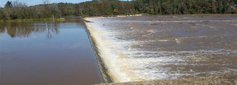 Rain Stops, Weather Improves Now at Jekyll Island