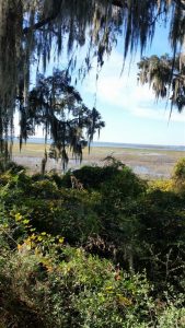 PaynesPrarie-LaChuaOverlook PaynesPrarie-LaChuaOverlook