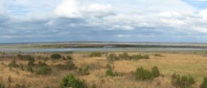 WetPrairie2018 WetPrairie2018