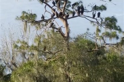 Hot weather finally comes to Florida