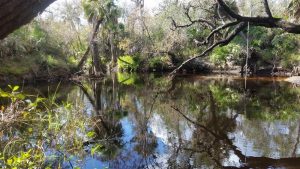 Telegraph Creek_2019 Telegraph Creek_2019