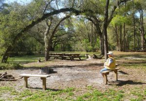 HogIslandScout Camp HogIslandScout Camp