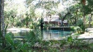 Juniper Springs-2017 fall Juniper Springs-2017 fall