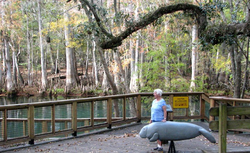 Manatee Springs