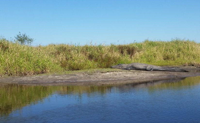 Myakka River State Park