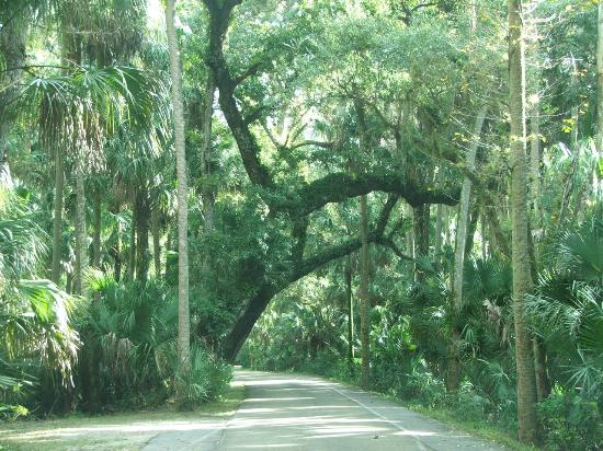 Highland Hammock State Park